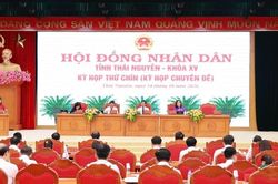 Thái Nguyên chuyển mục đích sử dụng hơn 100ha rừng phục vụ các dự án