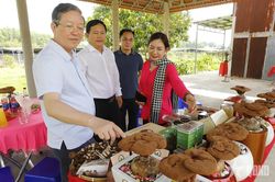 Nâng 'chất' hoạt động hội, đồng hành với nông dân trong giai đoạn mới