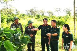Công ty Cà phê 15: Gắn hiệu quả sản xuất với nhiệm vụ quốc phòng, an ninh