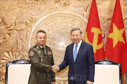 Tổng Bí thư, Chủ tịch nước Tô Lâm tiếp Phó thủ tướng, Bộ trưởng Bộ Quốc phòng Campuchia
