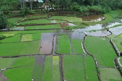 Hệ thống giếng cổ Gio An mở ra sức hút cho du lịch địa phương