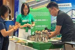Kết nối dòng vốn, nâng chuẩn cạnh tranh cho doanh nghiệp Việt Nam
