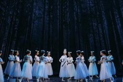 Vở Ballet kinh điển 'Giselle' trở lại Nhà hát Thành phố với diện mạo mới