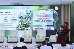 Ngân hàng chỉ ra 3 điểm nghẽn khiến dòng vốn xanh khó đến với doanh nghiệp