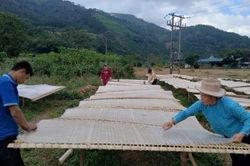 Từ 'có sản vật' đến 'có giá trị': Khoa học, công nghệ cần đi vào từng bản làng