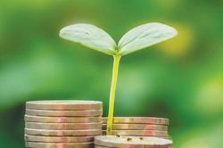 Tin tức nổi bật ngày 14/10: Dư nợ tín dụng xanh đạt trên 856.000 tỷ đồng