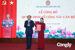 Bổ nhiệm Ph&oacute; Vụ trưởng Gi&aacute;m đốc, kiểm tra về h&igrave;nh sự