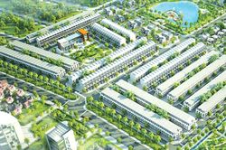 Công ty do TS.Nguyễn Việt Cường làm chủ tịch mất 5.270 tỷ đồng vốn hóa