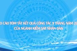 Báo cáo tóm tắt kết quả 9 tháng đầu năm của ngành Kiểm sát nhân dân