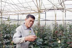 Bí thư chi bộ người K'Ho tiên phong làm giàu dưới chân đỉnh Langbiang