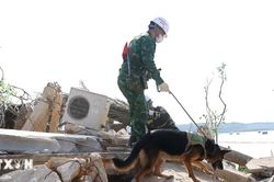 Quân đội Việt Nam-Lào-Campuchia: Sát cánh ứng phó các thách thức an ninh