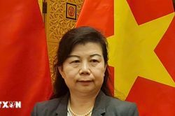 Chuyến thăm của Chủ tịch Quốc hội Trần Thanh Mẫn tạo thuận lợi cho hợp tác Việt Nam-Trung Quốc