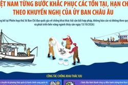 Việt Nam từng bước khắc phục các tồn tại, hạn chế theo khuyến nghị EC