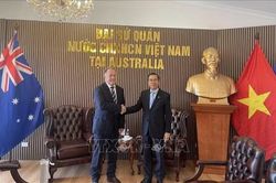 Australia muốn tăng cường kết nối nông nghiệp với Việt Nam