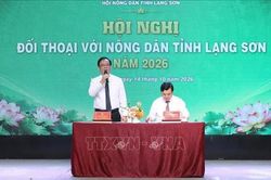 Chuyển từ sản xuất nông nghiệp sang kinh tế nông nghiệp bền vững ở miền