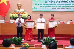 Phát triển nông nghiệp công nghệ cao, bảo đảm sinh kế cho nông dân