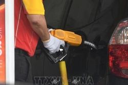Giá dầu châu Á đi lên sau các vụ tấn công tàu tại eo biển Hormuz