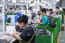 Điểm tin kinh tế thế giới nổi bật ngày 14/10/2026