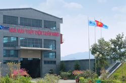 Thủy điện Xuân Minh lãi chưa đến 500 triệu đồng trong quý III/2026