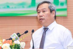 Chủ tịch Hà Nội: Không thể chỉ bồi thường khi thu hồi đất mà thiếu phương án sinh kế lâu dài