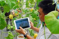 Hà Nội 'cầm tay chỉ việc' hỗ trợ nông dân, hợp tác xã chuyển đổi số