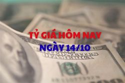 Tỷ giá hôm nay 14/10: Tỷ giá trung tâm tăng 13 đồng