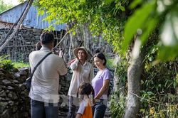 Khám phá Đồi Cổ Thạch hoang sơ, bình dị tại tỉnh Đắk Lắk