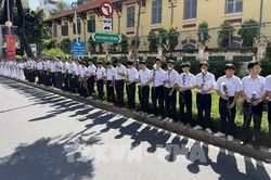 Sắc hoa cúc trắng đón những người lính trở về