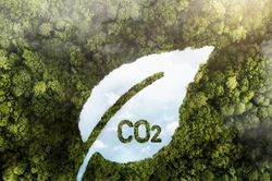 Vốn cho chuyển đổi xanh: Chờ sức bật từ thị trường carbon