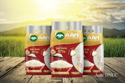 Thương hiệu quốc gia: ‘Đòn bẩy’ nâng tầm hạt gạo Việt Nam