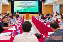 Doanh nghiệp ngành gỗ gặp khó vì thuế đã nộp chưa được hoàn