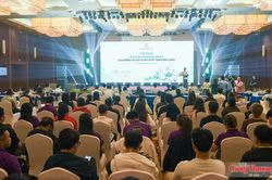 Đà Nẵng thúc đẩy du lịch xanh bền vững