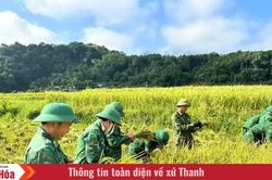 Màu xanh áo lính nơi mùa vàng Mường Mìn