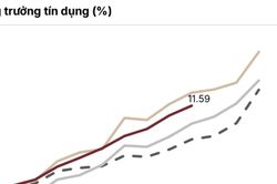 SSI Research: Không nên kỳ vọng quá nhiều vào việc giảm lãi suất