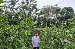 Những mô hình kinh tế nông nghiệp hiệu quả
