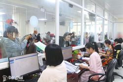 Nỗ lực hoàn thành chỉ tiêu đề ra