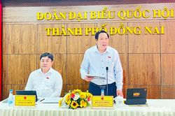 Đoàn Đại biểu Quốc hội thành phố Đồng Nai lấy ý kiến đóng góp về 3 dự thảo luật sửa đổi