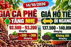 Giá cà phê, hồ tiêu hôm nay 14/10: Cà phê tăng nhẹ, hồ tiêu giữ giá