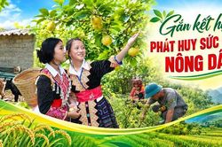 Gắn kết hội viên, phát huy sức mạnh nông dân
