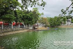 Đưa môi trường xanh trở lại