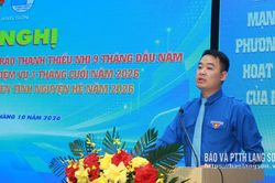 Tỉnh đoàn triển khai nhiệm vụ công tác đoàn, hội quý IV