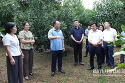 Kiểm tra, đôn đốc việc thực hiện Nghị quyết số 24 tại các xã khu vực Cao Lộc, Văn Lãng, Tràng Định