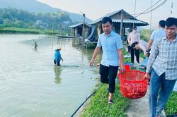 Cầu Thia sẵn sàng tổ chức Hội thi “Bắt cá ruộng”, tạo điểm nhấn du lịch Mường Lò