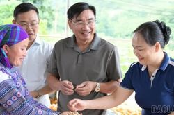 Sức sống từ những phong trào nông dân