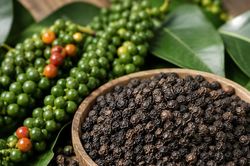 Giá tiêu hôm nay 14/10/2026: 5 khu vực cùng tăng, giá cao nhất tới 140.500 đồng/kg