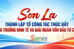 Sơn La thành lập Tổ công tác thúc đẩy tăng trưởng kinh tế và giải ngân vốn đầu tư công