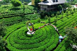 Đẩy mạnh quảng bá, tôn vinh sản phẩm OCOP tiêu biểu
