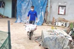 Xử lý tình trạng lợn chết chưa rõ nguyên nhân tại Ngân Sơn