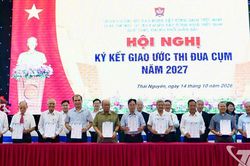 Đồng bào Công giáo tích cực thi đua, góp sức xây dựng quê hương