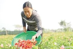 Hỗ trợ phụ nữ khởi nghiệp đi xa hơn